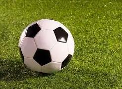 樊振东事件,引热议,上海体育局,捷报足球比分,捷报比分官网,捷报体育,捷报网页版,捷报app下载电脑版