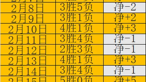 “2025年女子世界杯足球赛场馆导览指南”